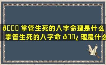 🐈 掌管生死的八字命理是什么（掌管生死的八字命 🌿 理是什么意思）